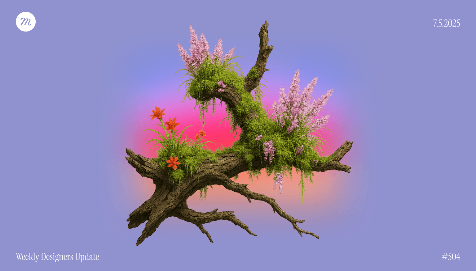 Weekly Designers Update #504